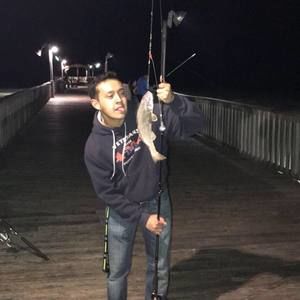 Meet your Posher, Edward